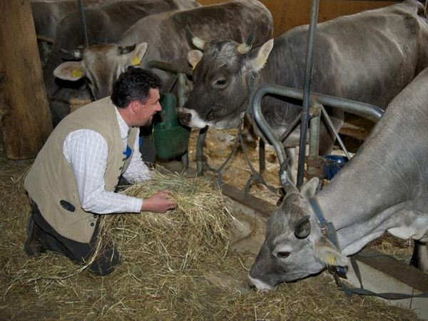 Maso Fior di Bosco - foto 48439.jpg