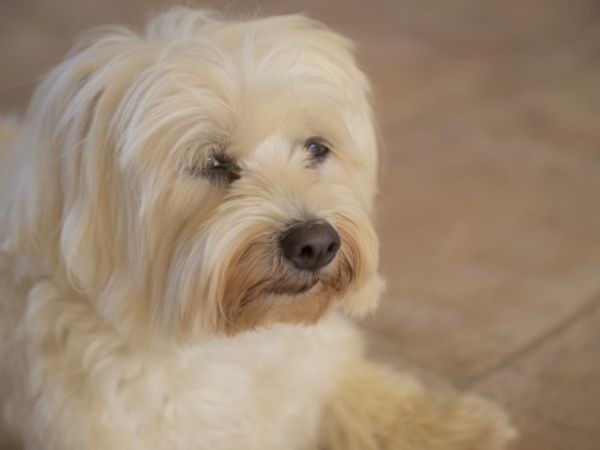 Agriturismo SantAndrea - foto 48449.jpg