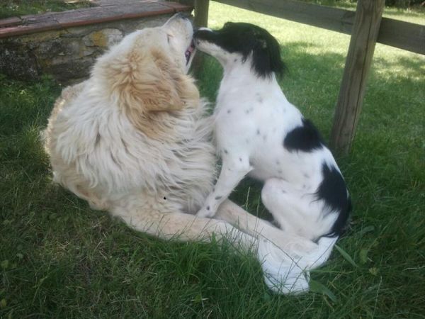 Agriturismo Borgo Spante - foto 48461.jpg