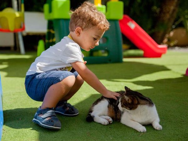 Hotel Caravelle - foto 48471.jpg