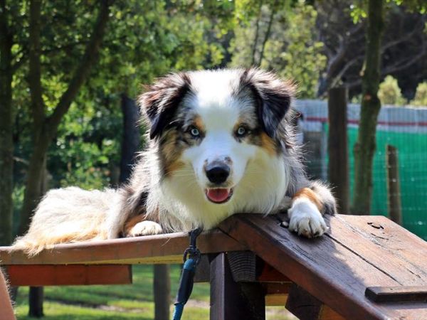 Club Village & Hotel Spiaggia Romea - foto 48477.jpg