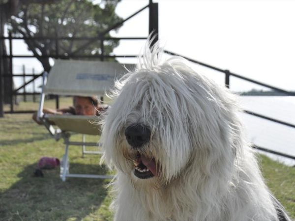 Club Village & Hotel Spiaggia Romea - foto 48478.jpg