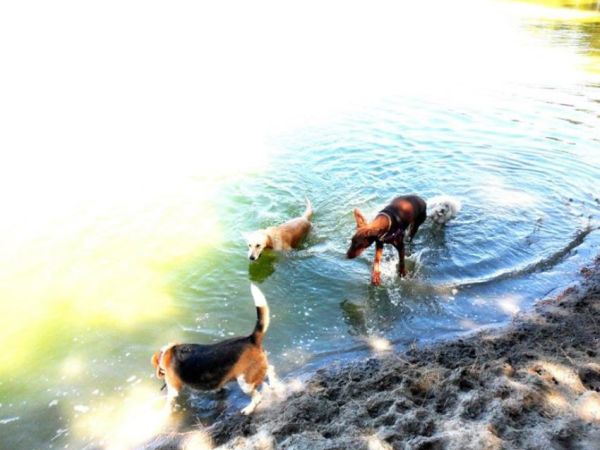 Hotel & Club Village Spiaggia Romea - foto 48485.jpg