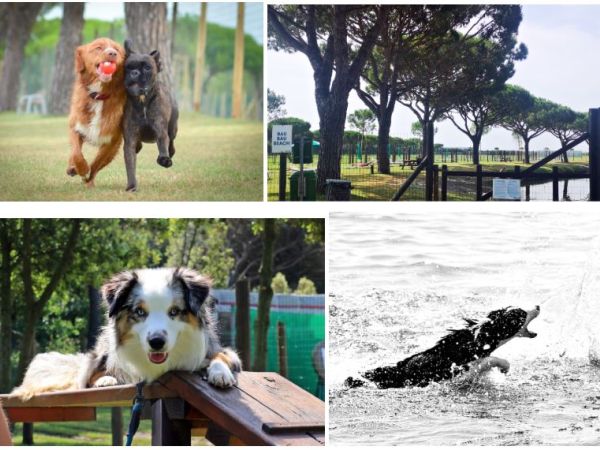 Hotel & Club Village Spiaggia Romea - foto 48486.jpg