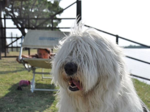 Hotel & Club Village Spiaggia Romea - foto 48488.jpg