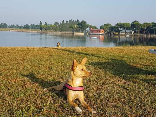 Spiaggia Romea Bau Village - foto 48491.jpg