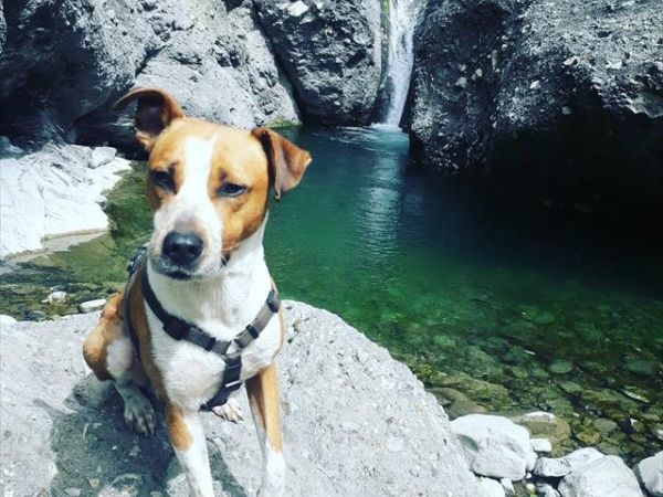 Agriturismo Le Querciole - foto 48529.jpg