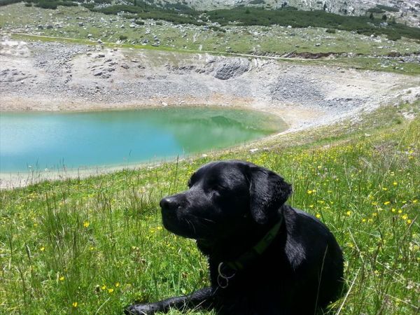 Hotel Alpenrose - foto 48547.jpg