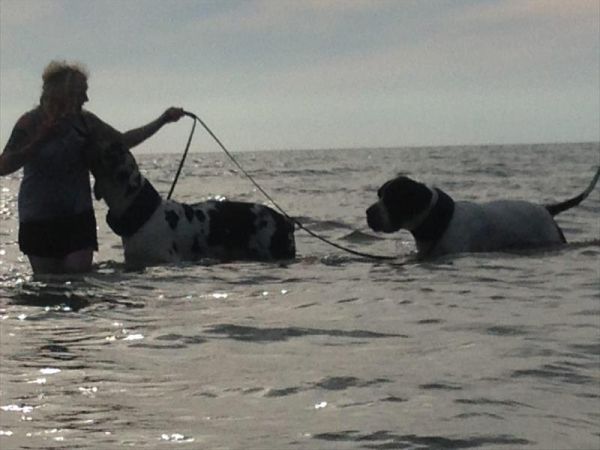 Single Fin Tuscany - foto 48693.jpg