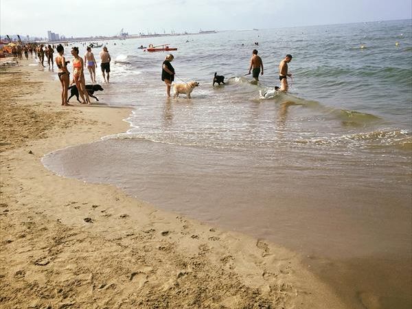 Single Fin Tuscany - foto 48695.jpg