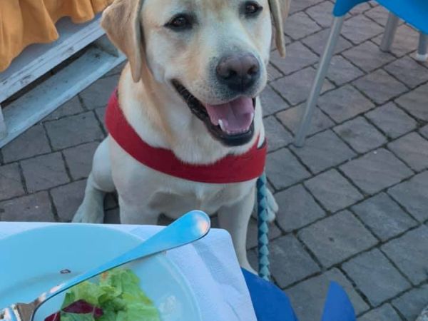 Girasole Eco Family Village  - foto 48792.jpg