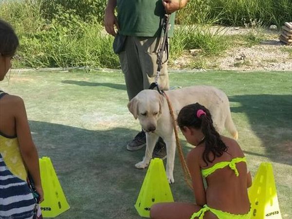 Girasole Eco Family Village  - foto 48793.jpg