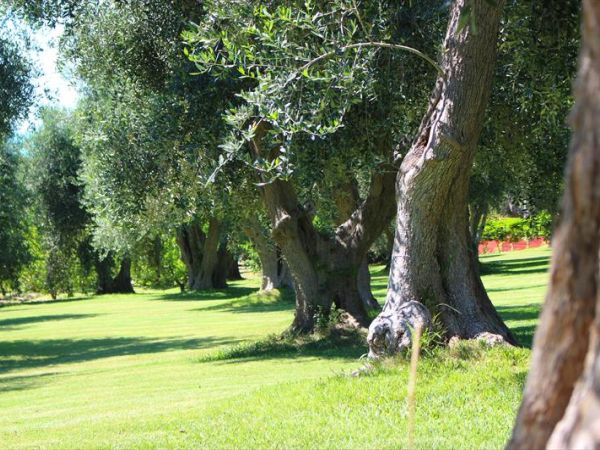 Villaggio Uliveto - foto 48939.jpg