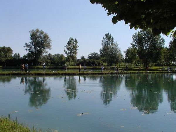 Agriturismo Olistella - foto 15641.jpg