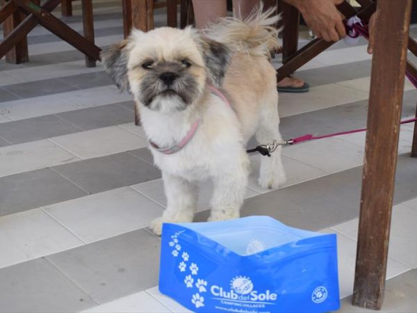 Club del Sole Adriano Family Camping Village - foto 48979.jpg