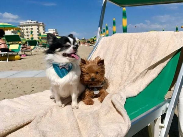 Hotel Del Vecchio - foto 49030.jpg