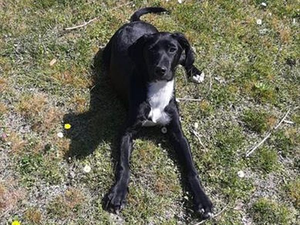 Hotel Del Vecchio - foto 49032.jpg