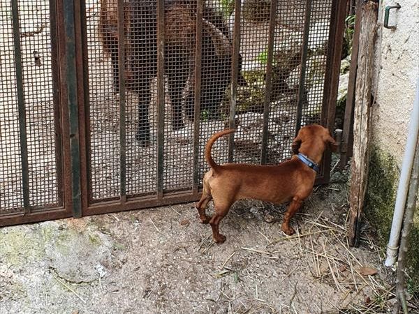 Agriturismo Pantalica Ranch - foto 49068.jpg