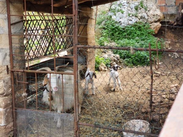 Agriturismo Pantalica Ranch - foto 49069.jpg