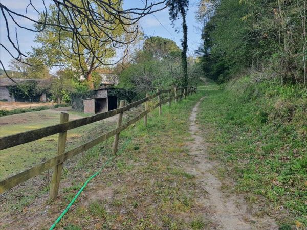 La Casina di Laura - foto 49101.jpg