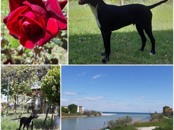 Hotel Del Vecchio - foto 49130.jpg