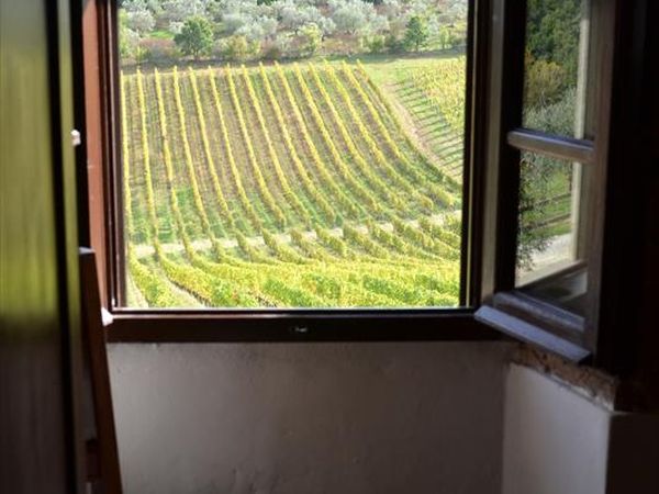 Fattoria La Loggia - foto 49272.jpg