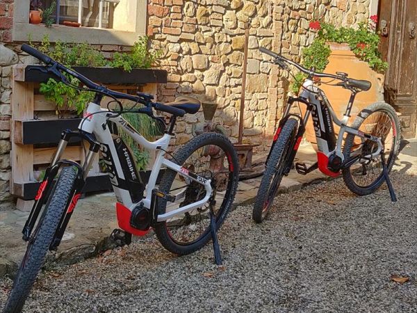 Fattoria La Loggia - foto 49273.jpg