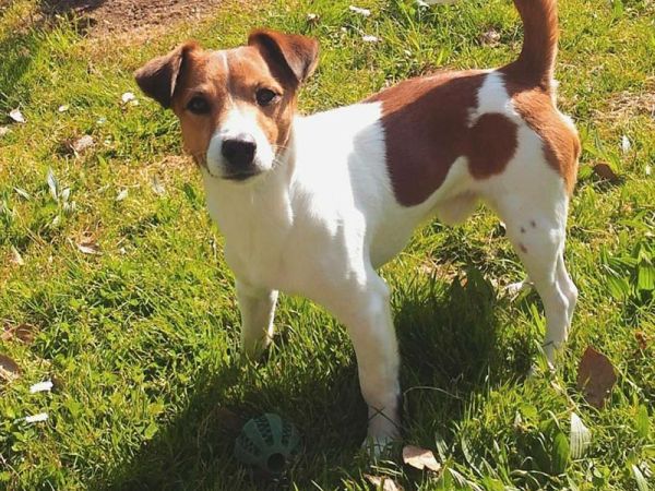 Fattoria La Loggia - foto 49277.jpg