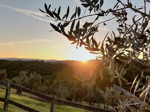 Fattoria La Loggia - foto 49280.jpg