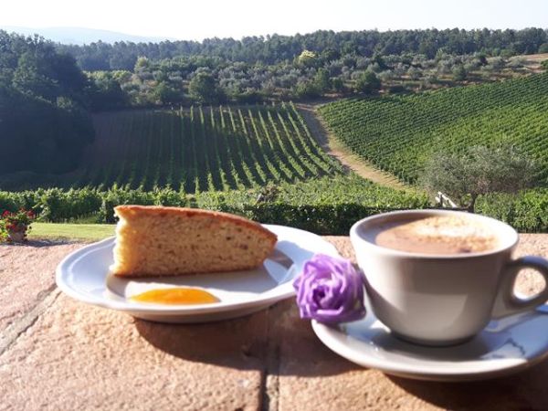 Fattoria La Loggia - foto 49283.jpg