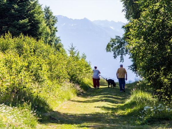 Residence Stefania - foto 49288.jpg