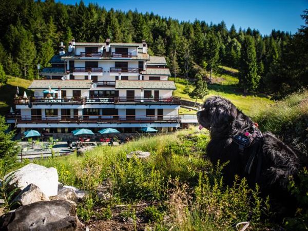 Residence Stefania - foto 49291.jpg