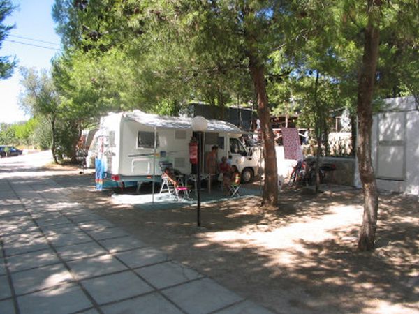 Campeggio Molinella Vacanze - foto 760.jpg