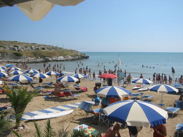 Campeggio Molinella Vacanze - foto 762.jpg