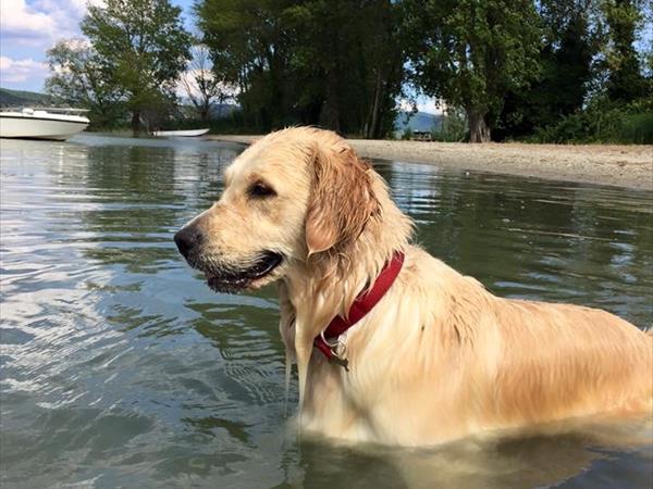 LE TRE ISOLE villaggio albergo  - foto 49323.jpg