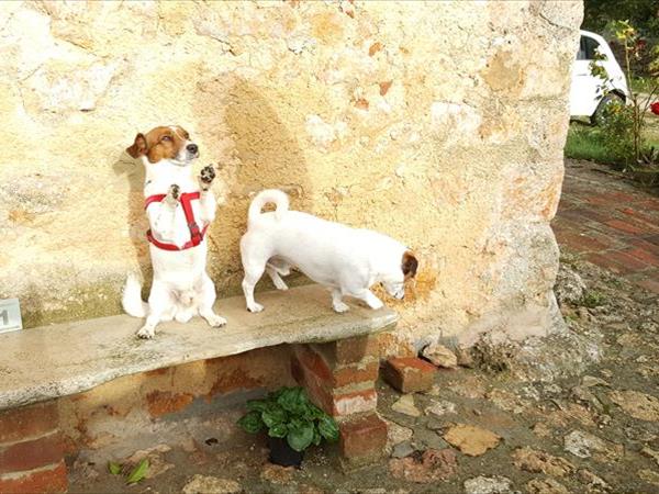 Podere Sortoiano - foto 49384.jpg