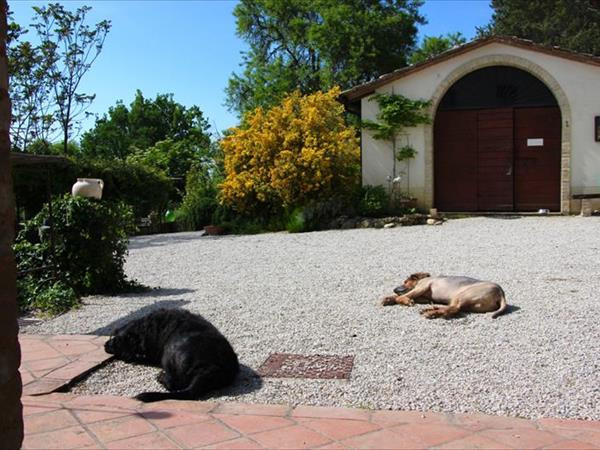 Tenuta LAriete - foto 49402.jpg