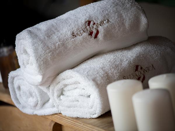 Agriturismo Salvadonica - Borgo del Chianti - foto 49418.jpg