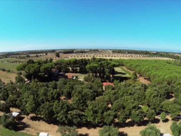 Agriturismo Impalancati - foto 49462.jpg