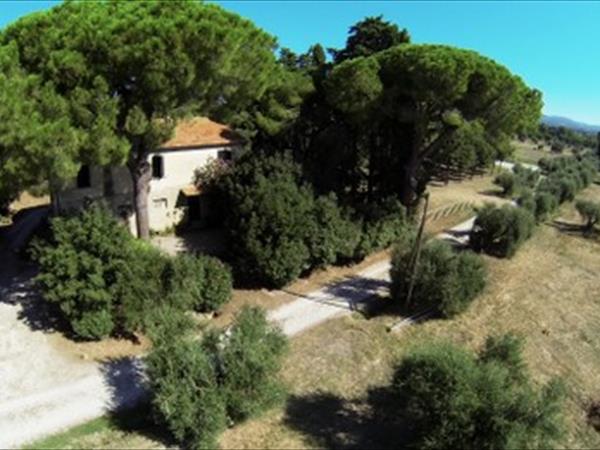 Agriturismo Impalancati - foto 49464.jpg