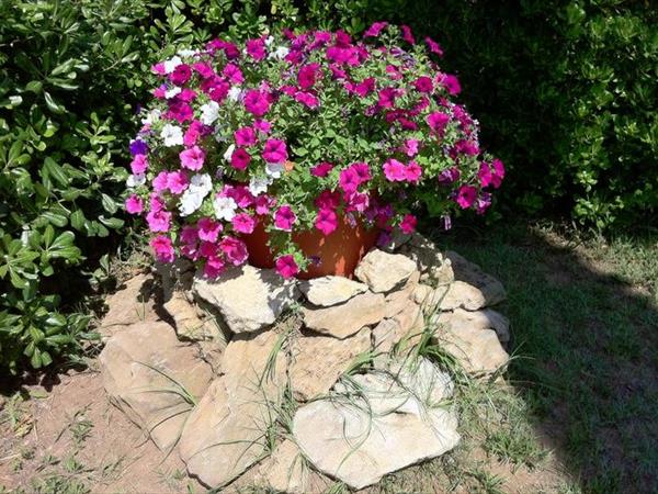 Agriturismo Impalancati - foto 49555.jpg