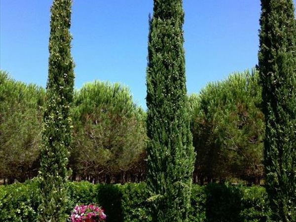 Agriturismo Impalancati - foto 49556.jpg