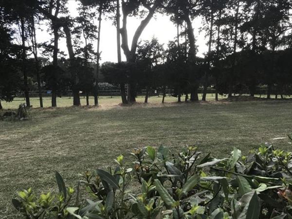 Agriturismo Impalancati - foto 49559.jpg