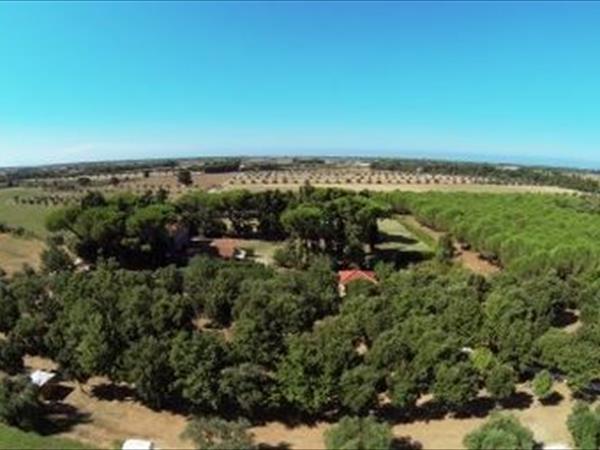 Agriturismo Impalancati - foto 49560.jpg