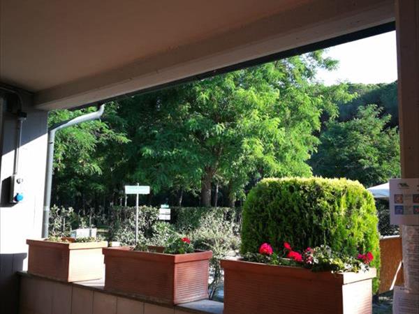 Camping Riva dei Butteri - foto 49659.jpg