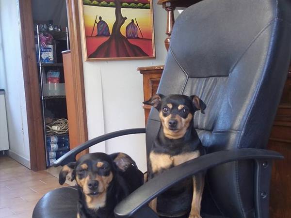 Campeggio Cucciolo - foto 49673.jpg