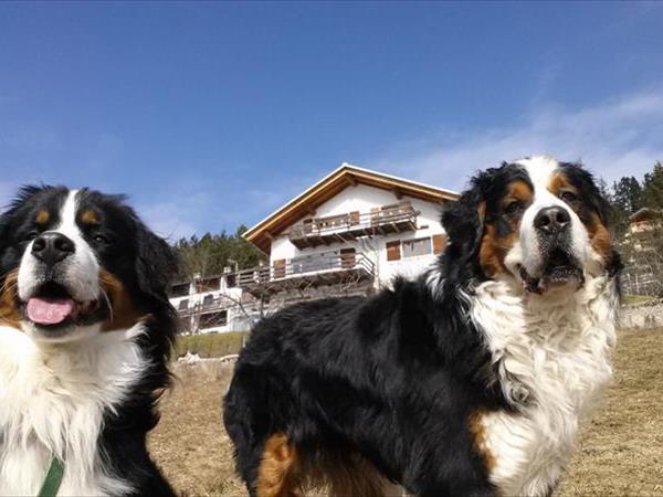 Hotel Vittoria - foto 49788.jpg