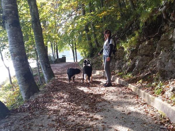 Hotel Vittoria - foto 49790.jpg