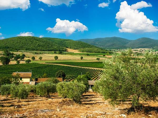 Poggiolivi Country House - foto 49846.jpg