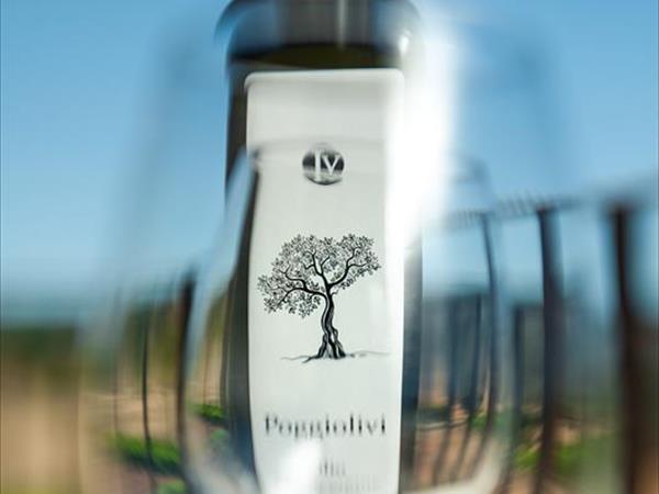 Poggiolivi Country House - foto 49850.jpg